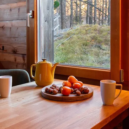 Appartement Tannegg *