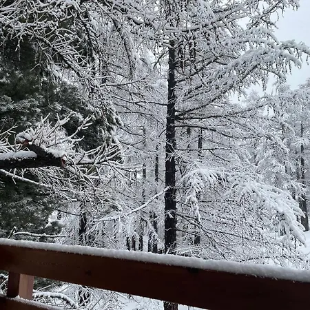 Tannegg サース フェー