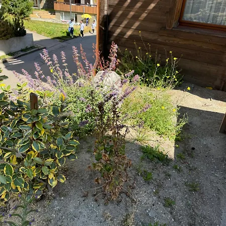 Tannegg Apartment Saas-Fee